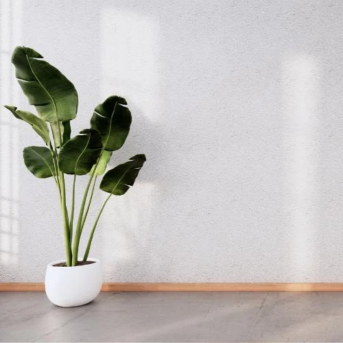 Limpeza energética para comércio Limpeza energética para comércio