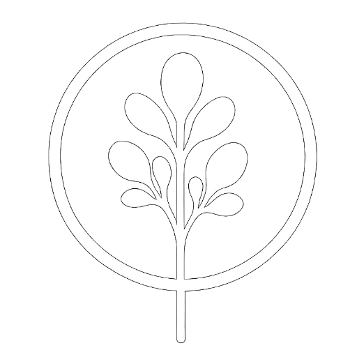 Arruda Espiritual Arruda Espiritual
